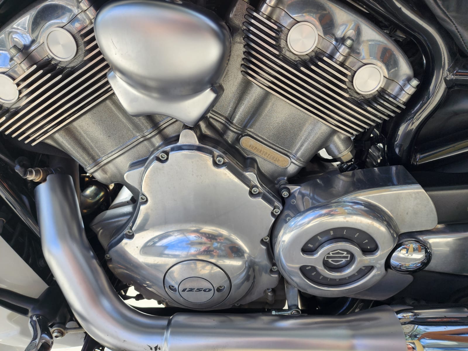 Harley Davidson Vrod Muscle 1250cc