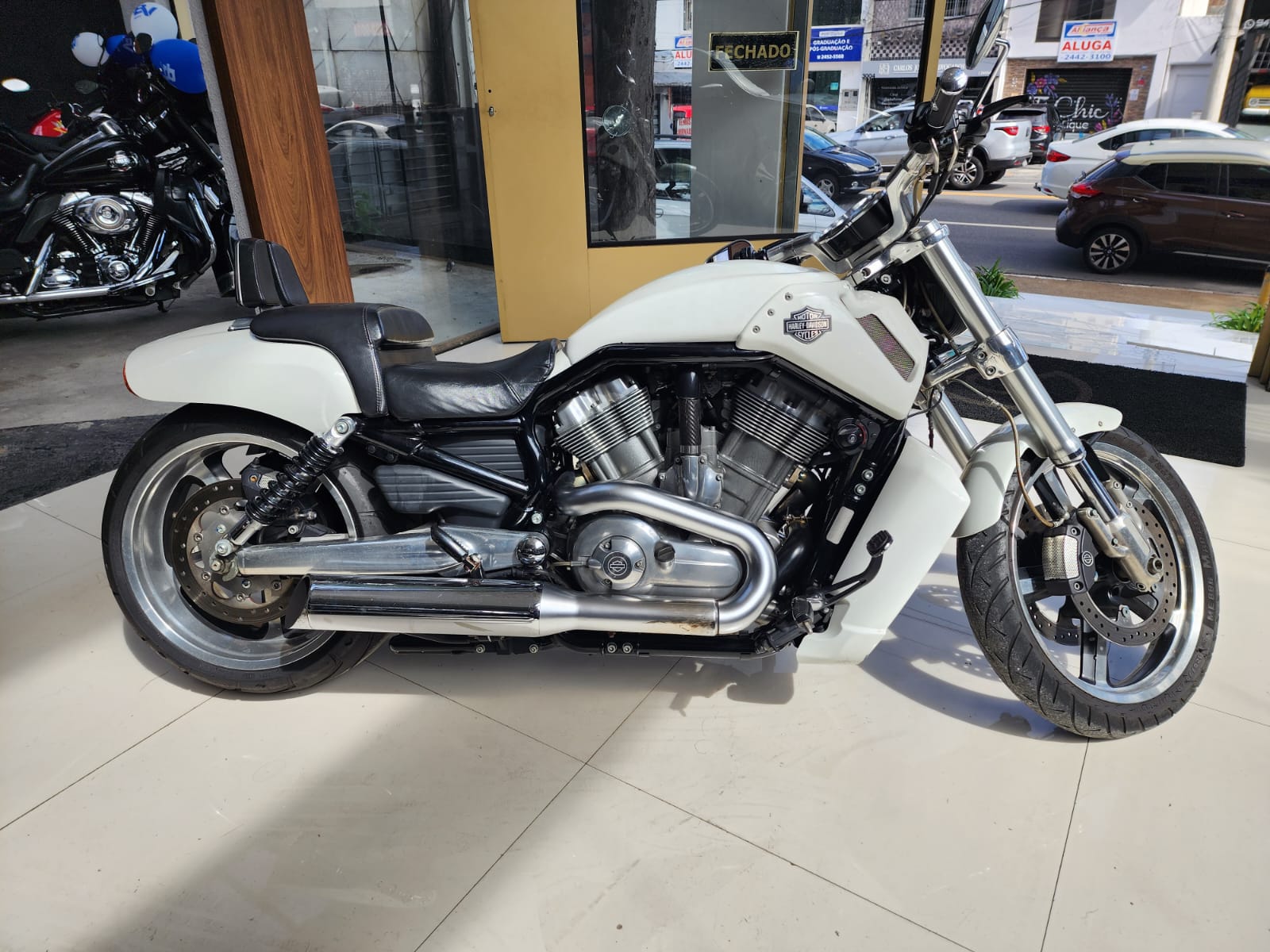 Harley Davidson Vrod Muscle 1250cc