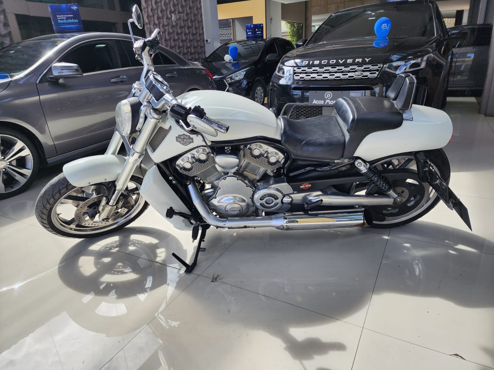 Harley Davidson Vrod Muscle 1250cc